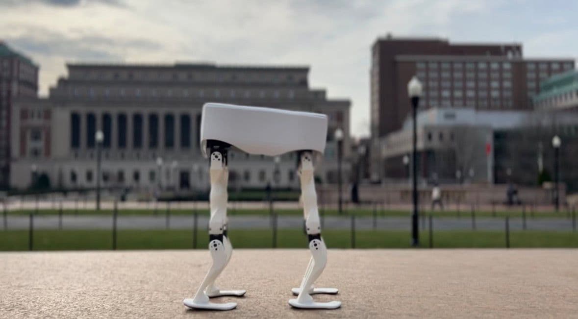 The assembled quadruped walking robot